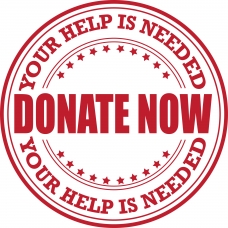 Donate now. Donate now.